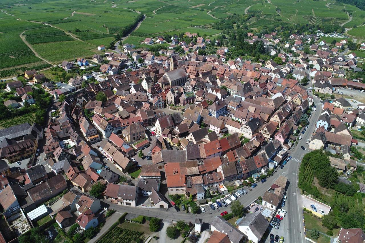 Gites Au Chateau Fleuri Eguisheim Habitación foto