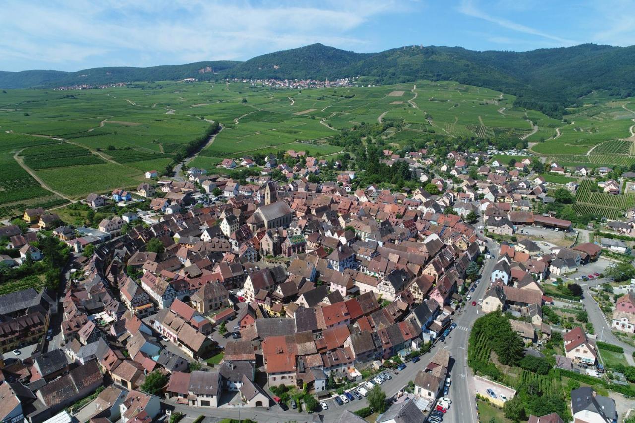 Gites Au Chateau Fleuri Eguisheim Habitación foto