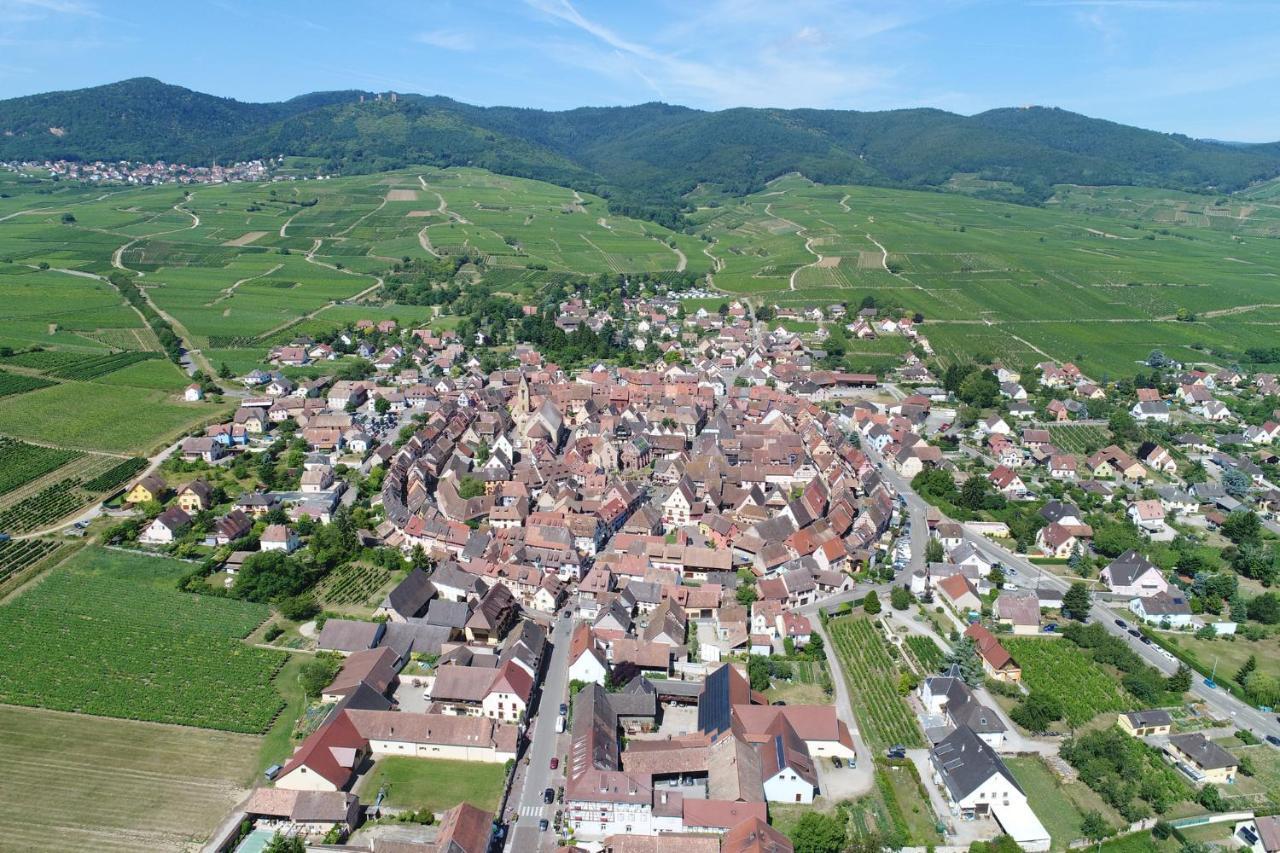 Gites Au Chateau Fleuri Eguisheim Habitación foto