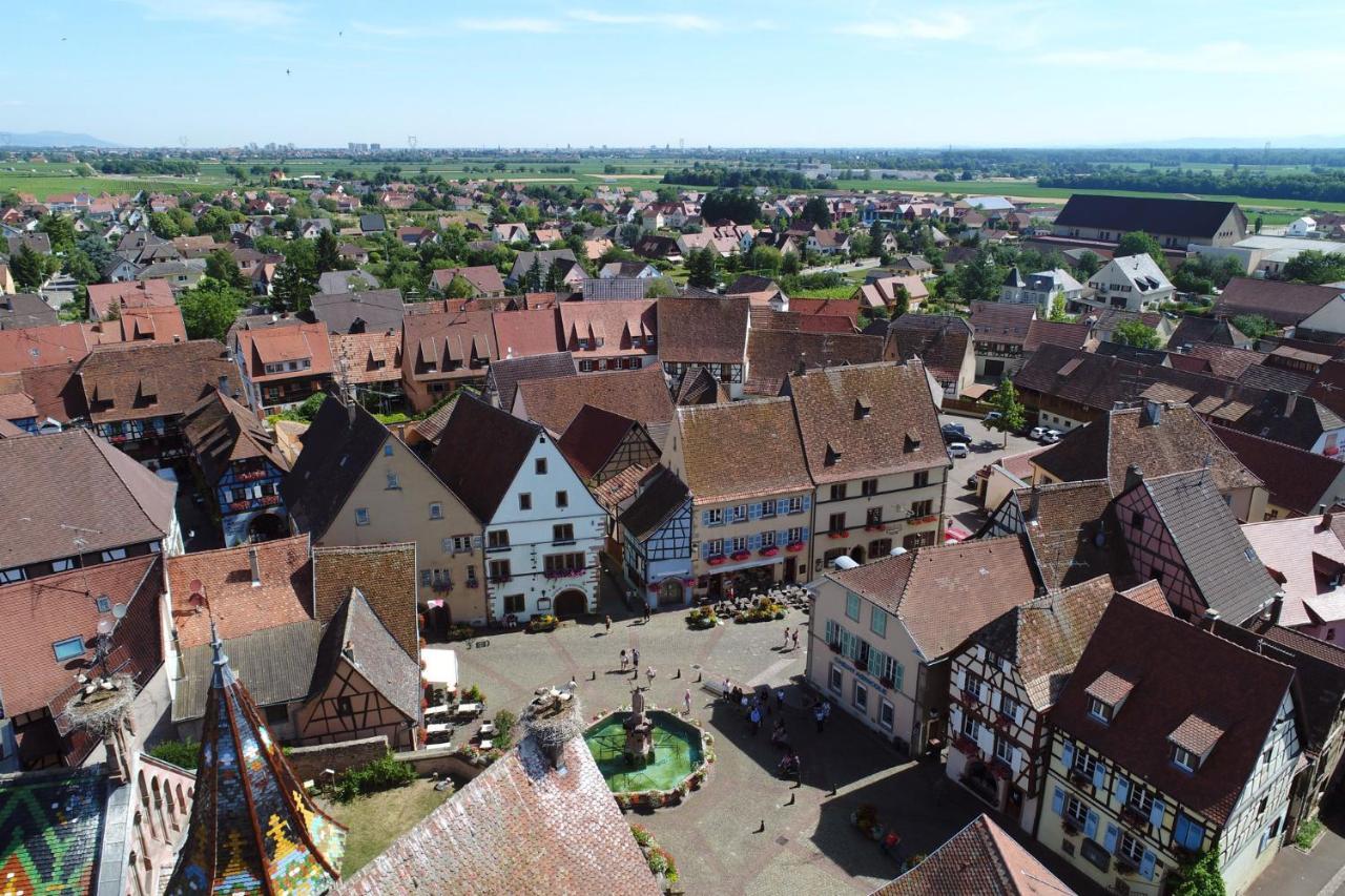 Gites Au Chateau Fleuri Eguisheim Habitación foto